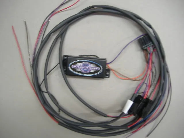 Basic Wiring Harness